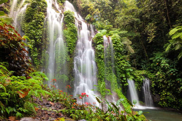North Bali and West Bali off-path destinations